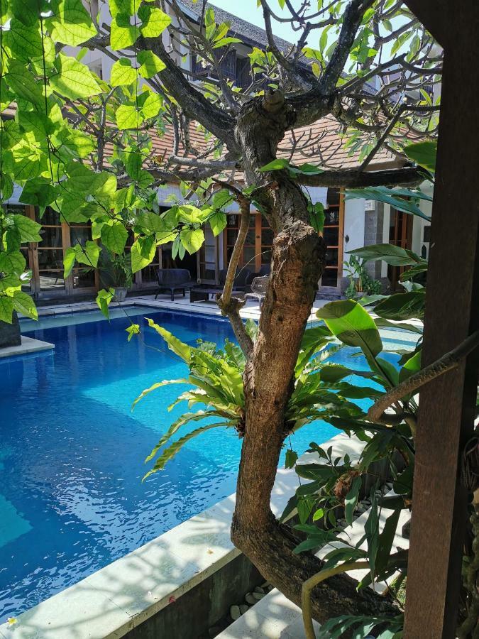 Villa Aliya *